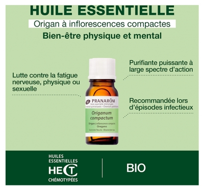 Pranarôm Origan a Inflorescences Compactes Sommité Fleurie Bio 10 ml