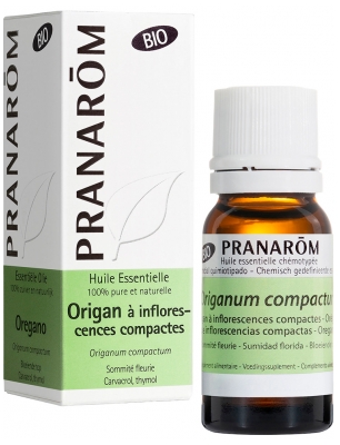 Pranarôm Origan a Inflorescences Compactes Sommité Fleurie Bio 10 ml