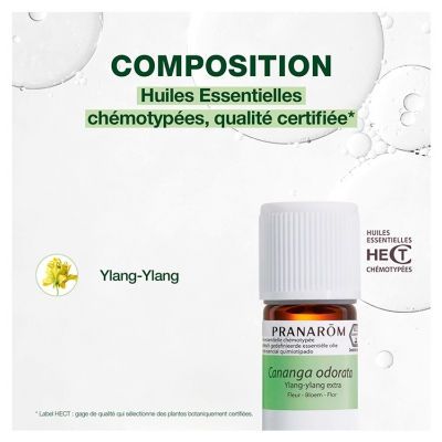 Pranarôm Huile Essentielle Ylang-Ylang Extra Cananga Odorata Fleur 5 ml
