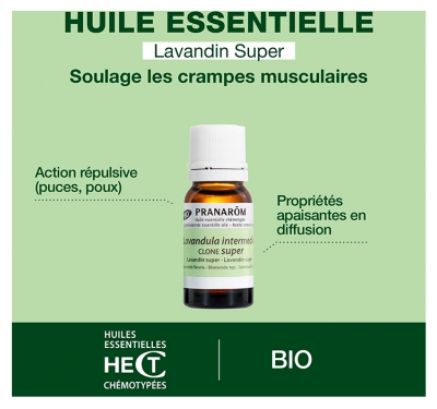 Pranarôm Huile Essentielle Lavandin Super Bio Lavandula X Intermedia Super Sommité Fleurie 10 ml