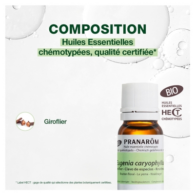 Pranarôm Huile Essentielle Giroflier Bio Eugenia Caryophyllus Bouton Floral Hect 10 ml
