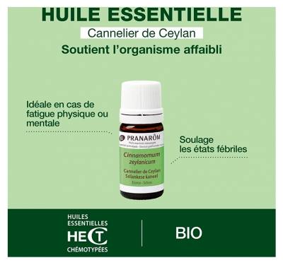Pranarôm Huile Essentielle Cannelle de Ceylan Bio Cinnamomum Zeylanicum Verum Écorce 5 Ml...