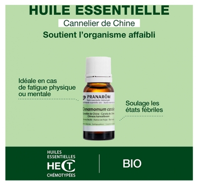Pranarôm Huile Essentielle Cannelier de Chine Bio Cinnamomum Cassia Rameau Feuillé 10 ml
