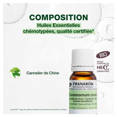 Pranarôm Huile Essentielle Cannelier de Chine Bio Cinnamomum Cassia Rameau Feuillé 10 ml