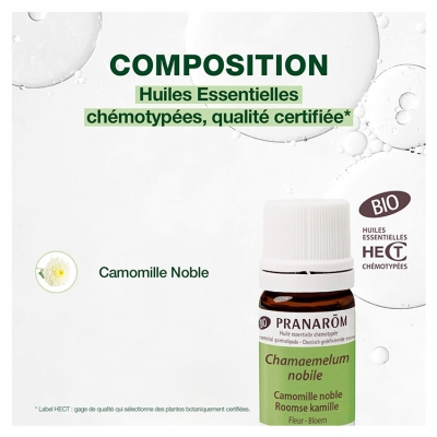 Pranarôm Huile Essentielle Camomille Noble Bio Chamaemelum Nobile Fleur 5 ml
