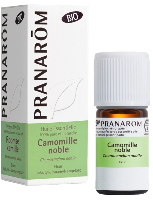 Pranarôm Huile Essentielle Camomille Noble Bio Chamaemelum Nobile Fleur 5 ml