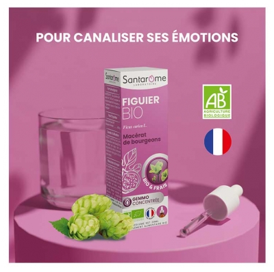 Santarome Figuier Gemmo Concentrée Bio 30 ml