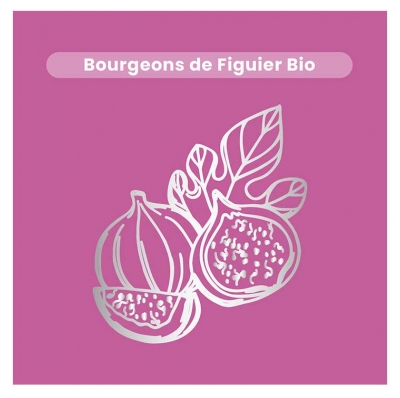 Santarome Figuier Gemmo Concentrée Bio 30 ml