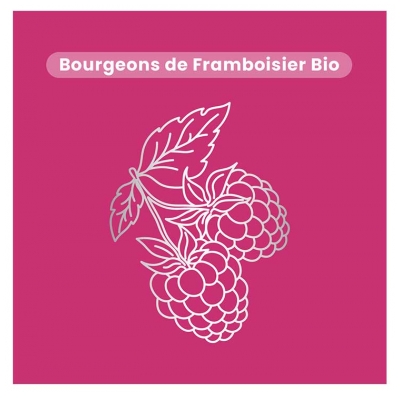 Santarome Macérat de Bourgeons Framboisier (Rubus Idaeus L.) Bio 30 ml