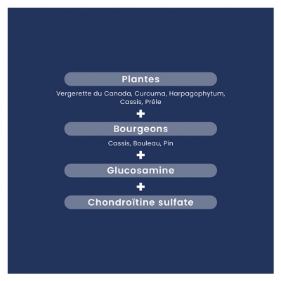 Santarome Myostéo Confort Articulaire Complément Alimentaire 20 Ampoules