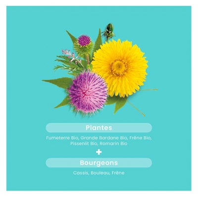 Santarome Bio Détox Draine & Détoxifie Bio 20 Ampoules