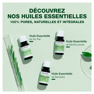 Pranarôm Pin Sylvestre Aiguille Bio 10 ml