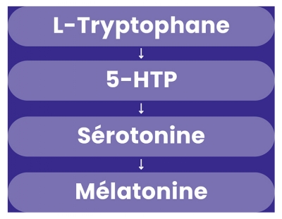 Santarome L-Tryptophane+ 500 mg Vitamine B3 + B6 60 Gélules