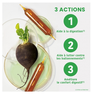 Santarome Bio Radis Noir Bio 20 Ampoules de 10 ml