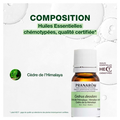 Pranarôm Huile Essentielle Cèdre de l'Himalaya Cedrus Deodara Bois Hect 10 ml