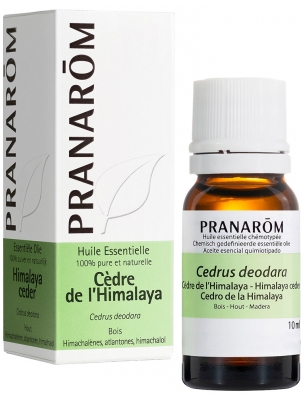 Pranarôm Huile Essentielle Cèdre de l'Himalaya Cedrus Deodara Bois Hect 10 ml