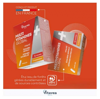Vitavea Multivitamines Global et Vitalité 45 Gélules