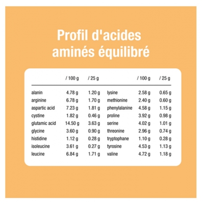 Purasana Vegan Riz Protéine Poudre Nature Bio 400 g