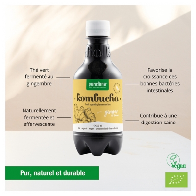 Purasana Kombucha Goût Gingembre Bio 330 ml