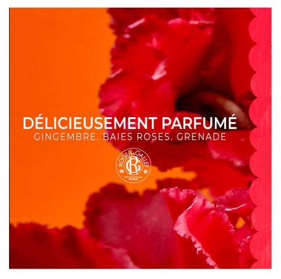 Roger & Gallet Gingembre Rouge Lait Corps 250 ml