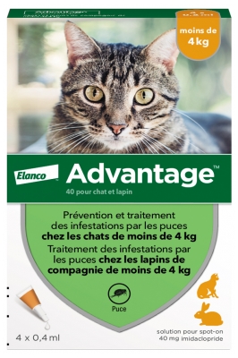 Advantage Chat – Anti-Puces Pour Chats – Moins de 4 kg - 4 Pipettes