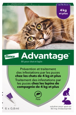 Advantage Chat – Anti-Puces Pour Chats – 4 kg et Plus - 6 Pipettes