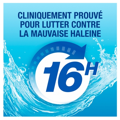 Cb12 Bain de Bouche White – Sans Alcool - Aide à Blanchir Les Dents - Protection Scientifiquement Prouvée Contre la Mauvaise Haleine Pendant 16 Heures – Combat la Cause de la Mauvaise Haleine – Fraîcheur Longue Durée – Menthe Douce - 250 ml