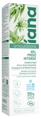 Iana Gel Froid Intense pour les Articulations 100 ml