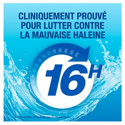 CB12 Bain de Bouche Sans Alcool 250 ml