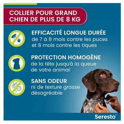 Seresto Collier Grands Chiens Anti-Puces et Anti-Tiques 8 kg et Plus