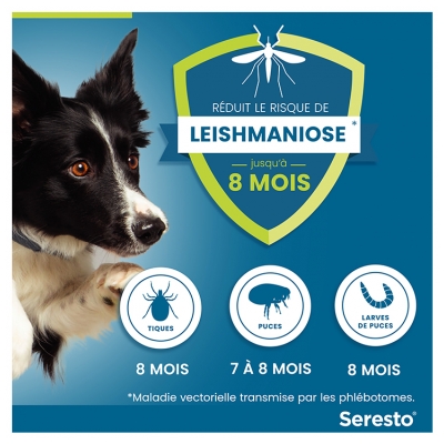 Seresto Collier Grands Chiens Anti-Puces et Anti-Tiques 8 kg et Plus