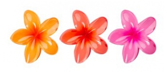 Brushworks Pinces Crabes Fleurs Tropicales 3 Unités