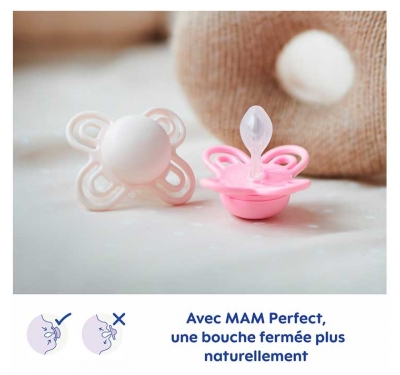 MAM 2 Sucettes Perfect Nuit 6 Mois et + - Modèle : Renards et Ours