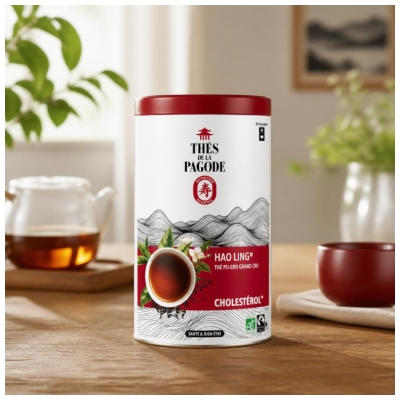Thés de la Pagode Thé Hao Ling Bio 90 Sachets