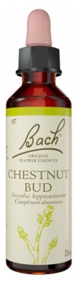 Complexe de Fleurs de Bach Original Chestnut Bud : 20 ml (à consommer de préférence avant le 31/07/2026)