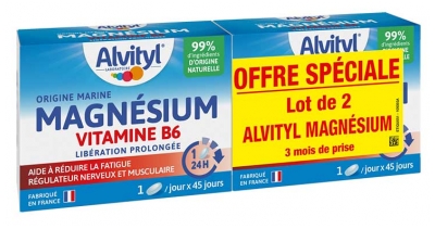 Alvityl Magnésium + Vitamine B6 - Libération Prolongée - 90 Jours