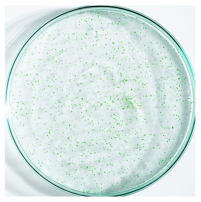 Make My Mask Tricho-Pure Gommage Anti-Pelliculaire 200 ml