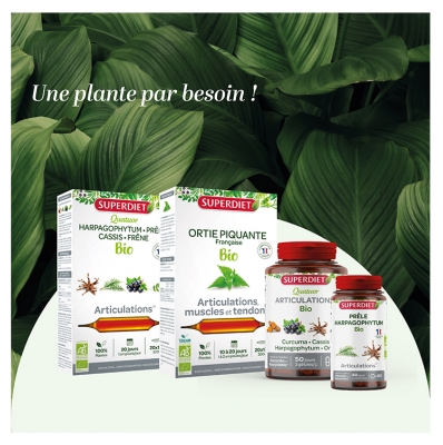 Superdiet Quatuor Prèle Articulations Bio
Harpagophytum Prêle Cassis Frêne - 20 Ampoules de 15 ml