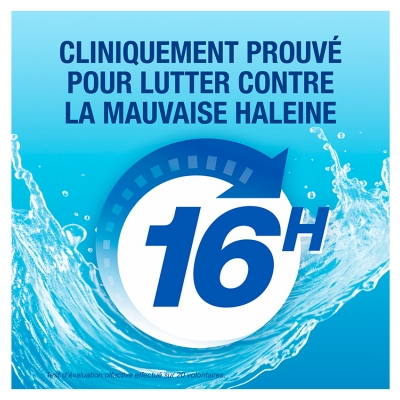 CB12 Mild Mint Bain de Bouche Menthe Douce 250 ml