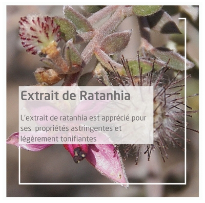 Weleda Pâte Dentifrice au Ratanhia - 75 ml