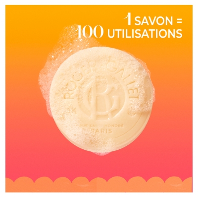 Roger & Gallet Oeillet Mignardise Savon Héritage 100 g