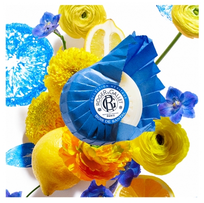 Roger & Gallet Bois de Santal Savon Héritage 100 g