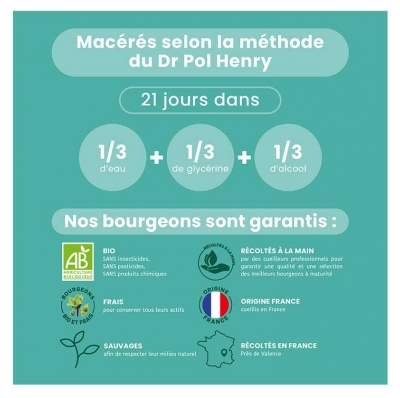 Santarome Marronnier Macérat de Bourgeons Bio 30 ml