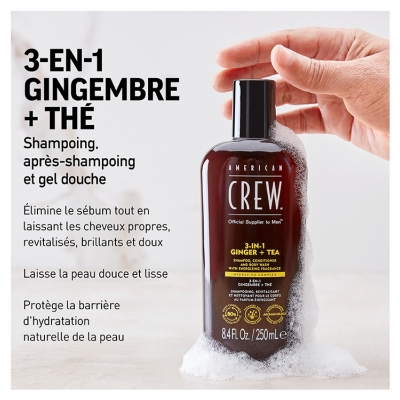 American Crew American Crew 3-en-1 Gingembrethé Shampooing Après Shampooing & Gel Douche Pour Cheveux et Corps (250Ml) Revitalisant et Hydratant.