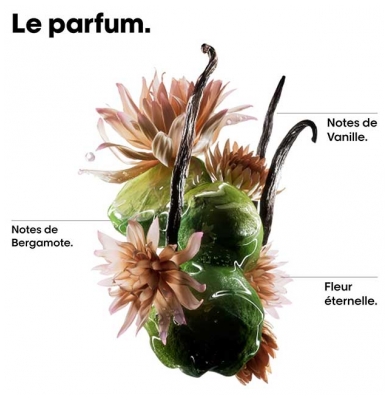Absolut Repair Molecular L'Oréal Professionnel Shampoing Professionnel 100 ml + Huile Bi-Phase Réparatrice 30 ml
