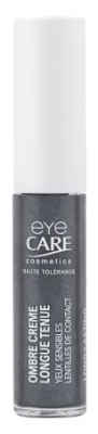 Eye Care Ombre Crème Longue Tenue 5 ML - Teinte : 1013 : Réglisse