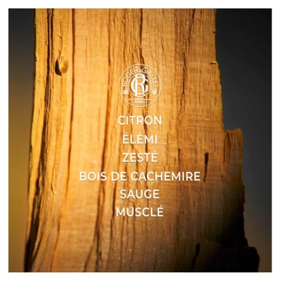 Roger & Gallet Cologne Twist Coffret Eau de Cologne 100 ml + Gel Douche Corps 200 ml Offert