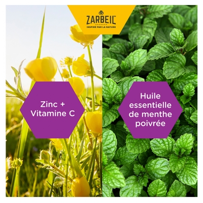 Zarbeil Pastilles à Sucer 24 Unités