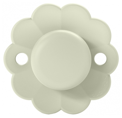 Suavinex Sucette Réversible SX Pro 0-6 Mois - Modèle : Vert d'eau