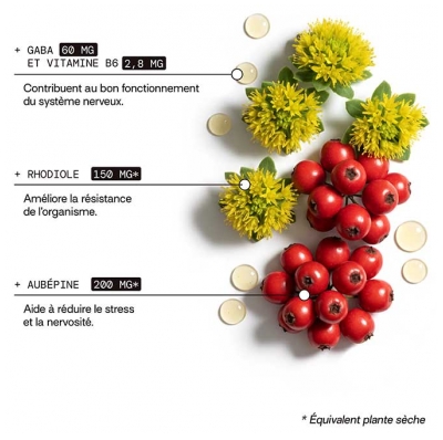 Mium Lab Stress Sans Sucres Plantes Gaba et Vitamine 42 Gummies